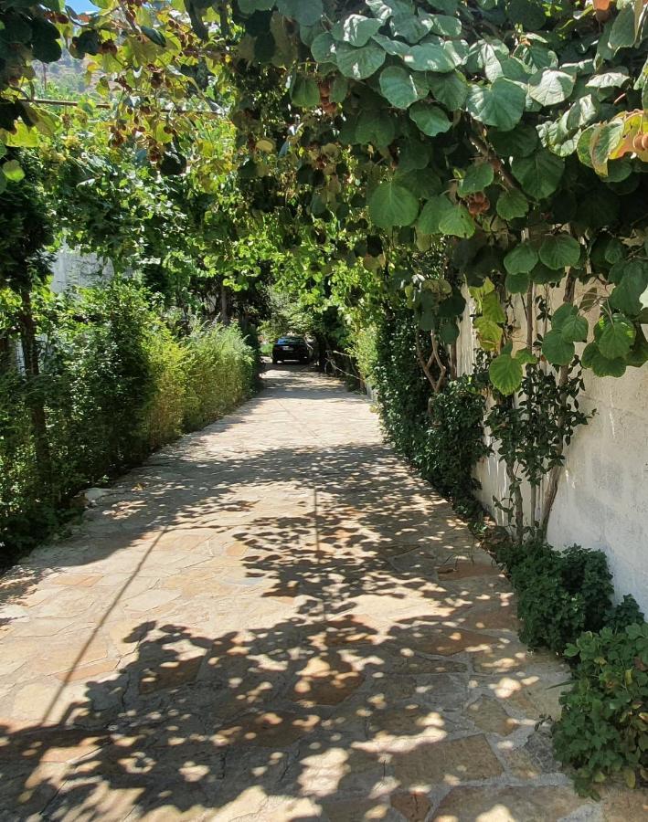 Xho'S Forest Guest House Μπεράτ Εξωτερικό φωτογραφία