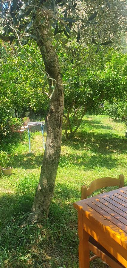 Xho'S Forest Guest House Μπεράτ Εξωτερικό φωτογραφία
